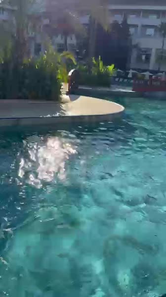 видео из отзыва ID 2737231