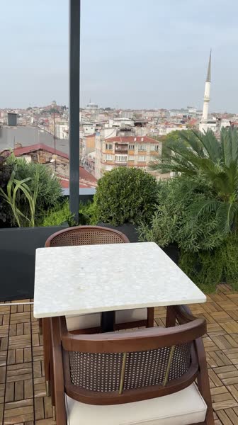 видео из отзыва ID 2737477