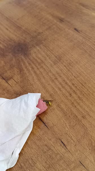 видео из отзыва ID 2737505