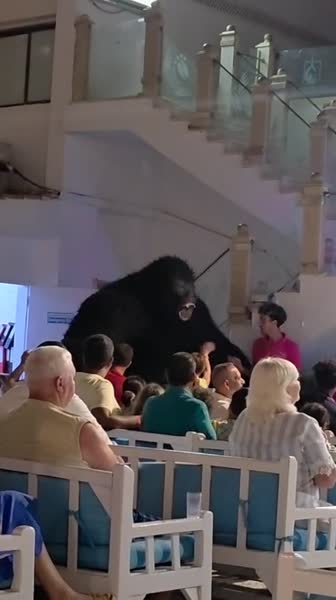 видео из отзыва ID 2737649