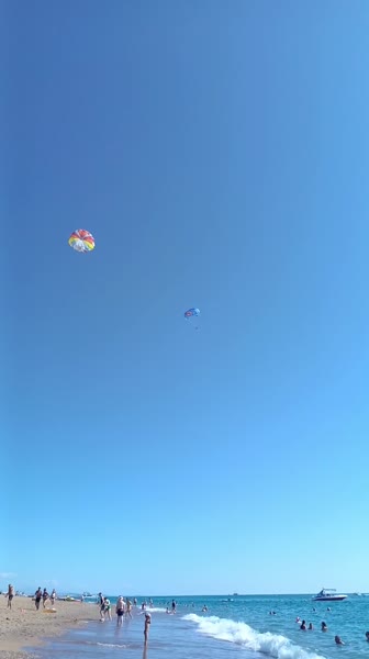 видео из отзыва ID 2737740
