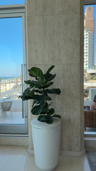 Hotel videos Park Plaza Orchid 4*