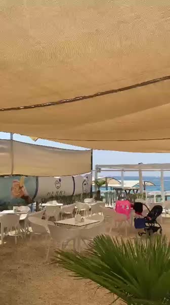 медиа файл