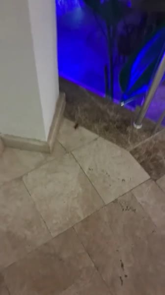 Видео из отеля Blue Wave Suite Hotel 4*