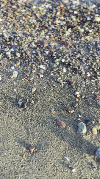 видео из отзыва ID 2738667