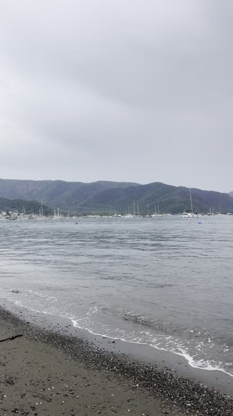 видео из отзыва ID 2738667