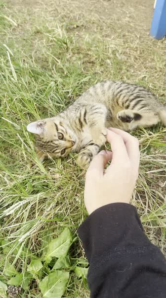 Hotel videos Yunus Otel 3*