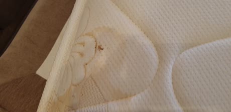 Видео из отеля The Grand Hotel Sharm El Sheikh 5*