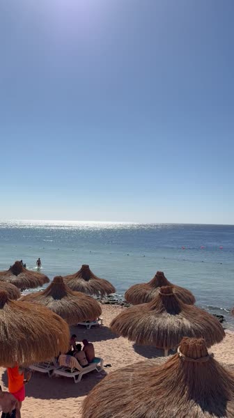 видео из отзыва ID 2738805