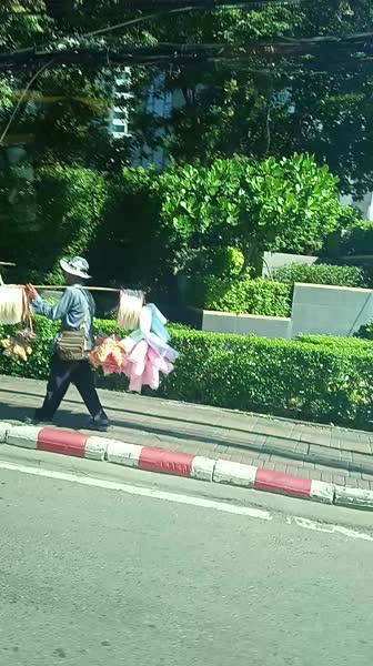 видео из отзыва ID 2738889