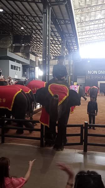 видео из отзыва ID 2738889