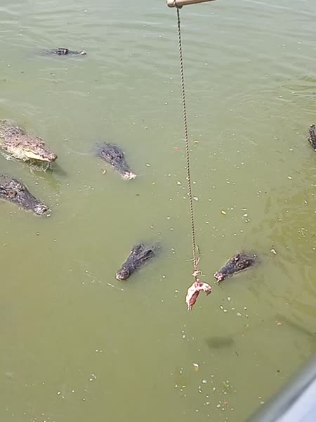 видео из отзыва ID 2738889