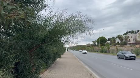 видео из отзыва ID 2738901