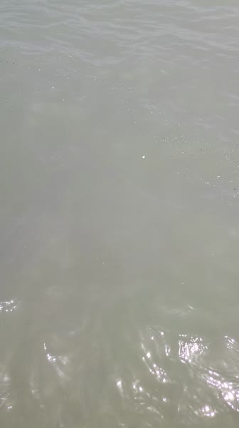 видео из отзыва ID 2738983