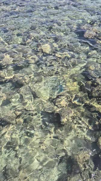 видео из отзыва ID 2739022