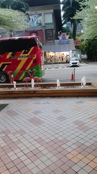 видео из отзыва ID 2739236