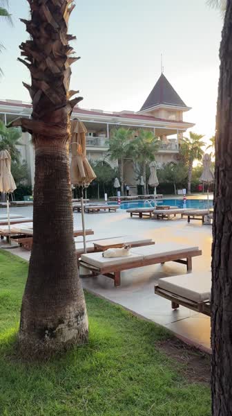 видео из отзыва ID 2718962