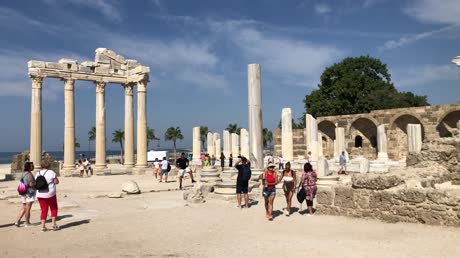 видео из отзыва ID 2739454