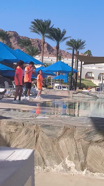 видео из отзыва ID 2739547