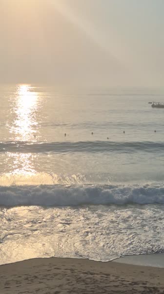 Видео из отеля Miramar Al Aqah Beach Resort 5*