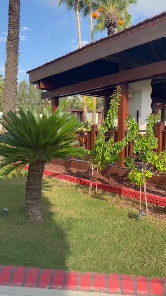 видео из отзыва ID 2739784