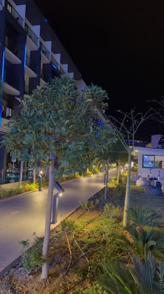 видео из отзыва ID 2740005