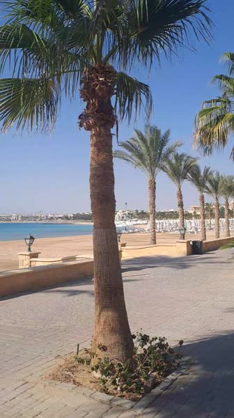 видео из отзыва ID 2740111