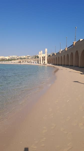 видео из отзыва ID 2740111