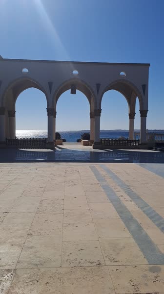 видео из отзыва ID 2740111