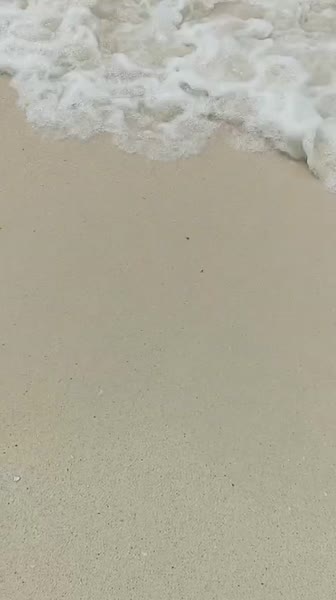 видео из отзыва ID 2740470