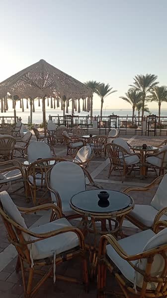 видео из отзыва ID 2739923