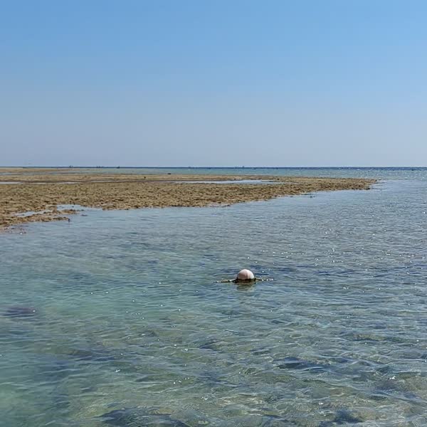 видео из отзыва ID 2740389