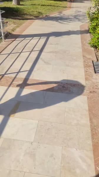 видео из отзыва ID 2741183