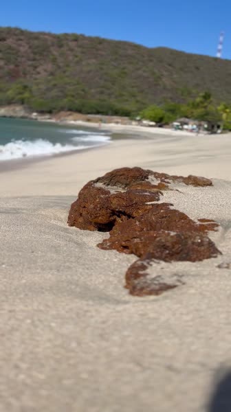 видео из отзыва ID 2741409