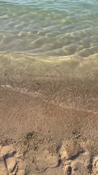 видео из отзыва ID 2741709