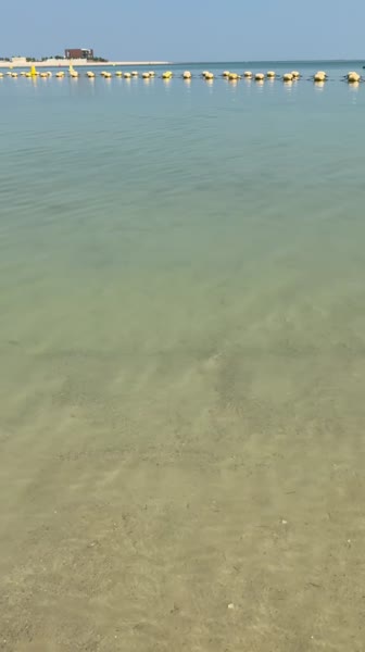 видео из отзыва ID 2741709