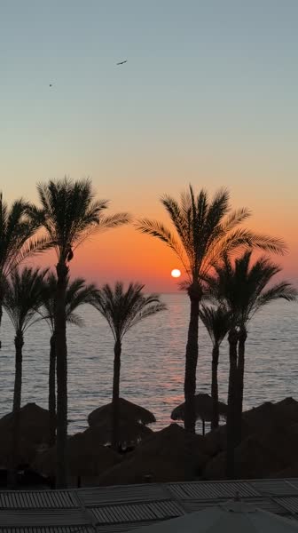 видео из отзыва ID 2741737