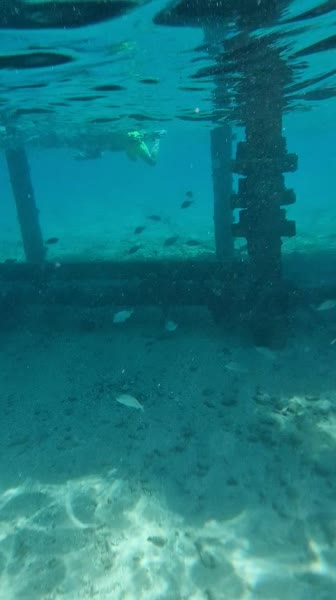 Hotel videos SUNRISE Garden Beach Resort Select 5*