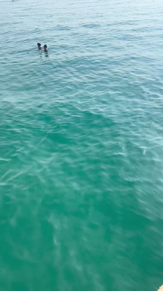 видео из отзыва ID 2742489