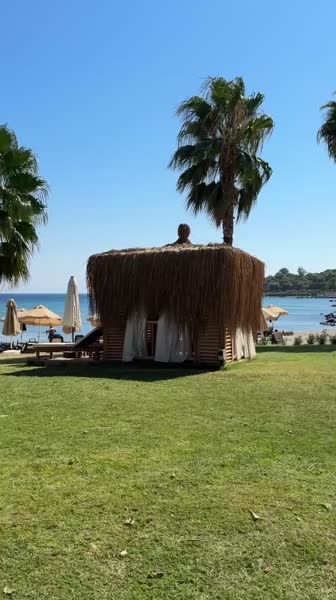 видео из отзыва ID 2742680