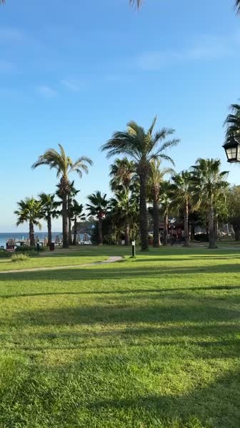 видео из отзыва ID 2742680