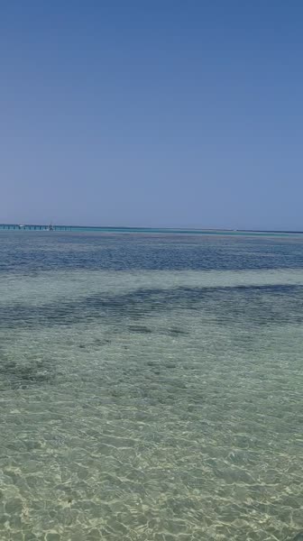 Hotel videos Rixos Premium Seagate 5*