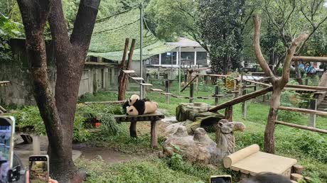 Hotel videos Yuehuimei S Hotel (Chongqing Jiefangbei Chaotianmen) 4*