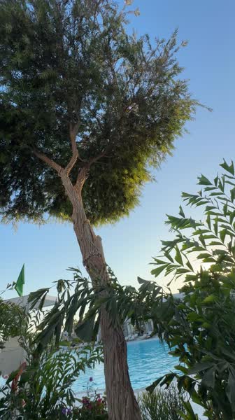 видео из отзыва ID 2743063