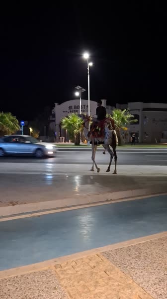 Hotel videos Naama Bay Promenade Mountain Managed By Accor 5*