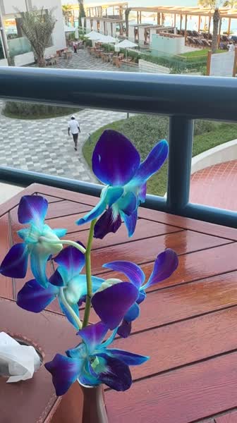 видео из отзыва ID 2743207