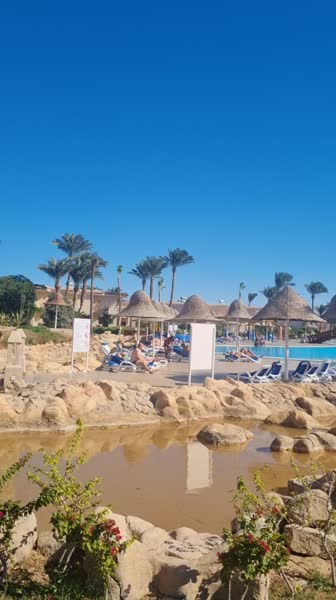 Hotel videos Parrotel Aqua Park Resort 4*