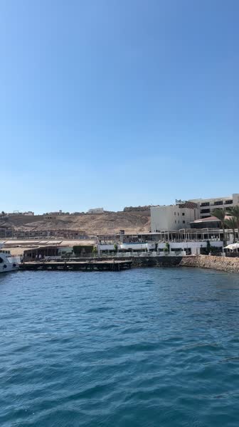 видео из отзыва ID 2743468