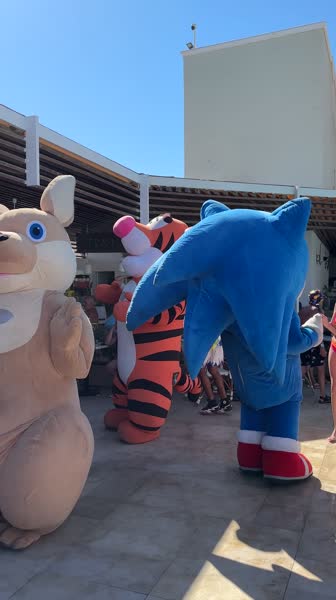 видео из отзыва ID 2743468