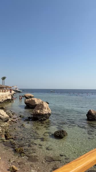 видео из отзыва ID 2743726